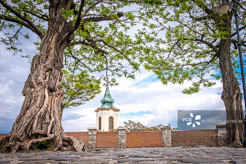 匈牙利森恩德雷的一处铺有高大老树的地方，图片素材