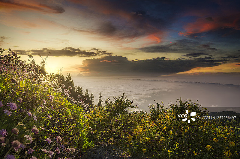 德内里费岛泰德公园日落时分的 Hdr 景观图片素材
