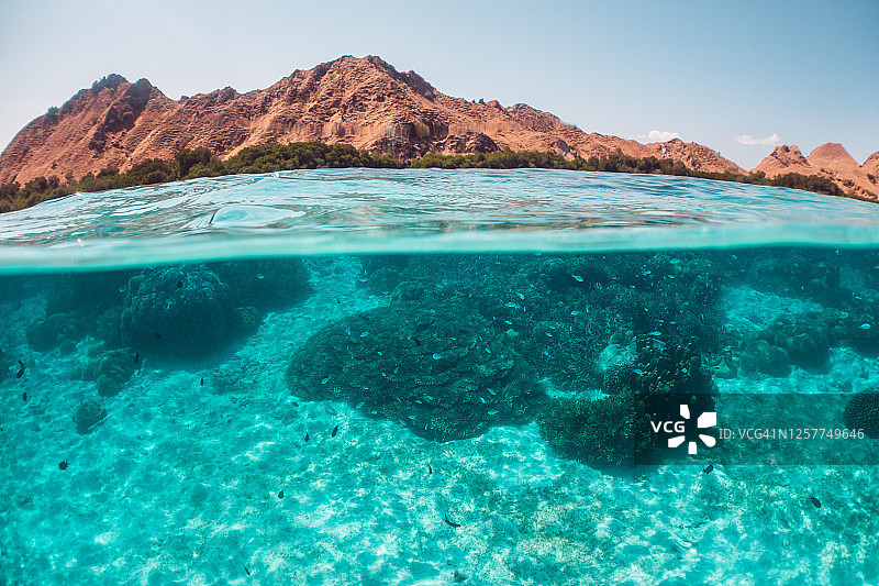 水下场景的珊瑚礁，分裂水平的珊瑚水下和岛屿在表面图片素材