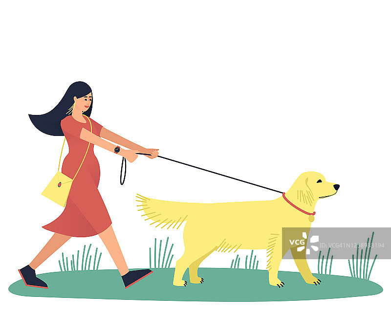 一位妇女带着她的爱犬拉布拉多猎犬散步图片素材