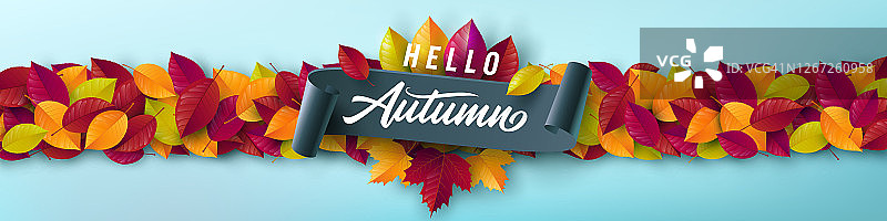 秋季海报和横幅模板与五颜六色的枫，橡树秋天的树叶。问候和礼物秋季在平躺造型。秋季或秋季概念的推广模板图片素材