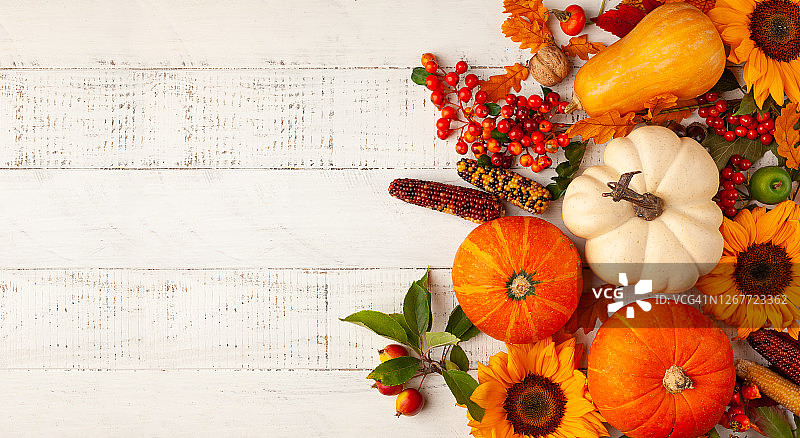 用南瓜、向日葵、树叶和浆果组成的秋季作品图片素材