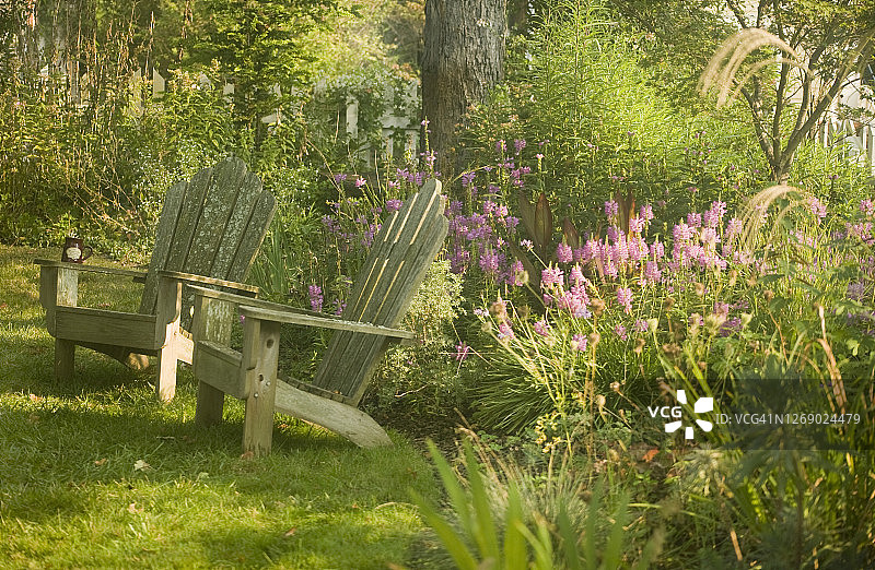 花园里的阿迪朗达克椅子图片素材
