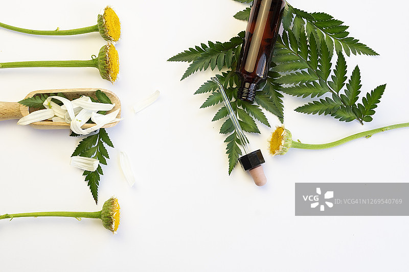 香薰精油在化妆玻璃瓶与绿叶和干花在白色的背景。水疗中心的概念。图片素材