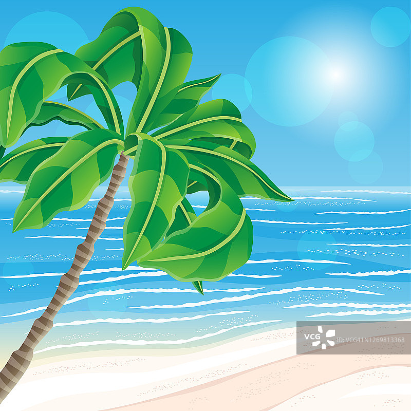 美丽的热带海滩和棕榈树。图片素材