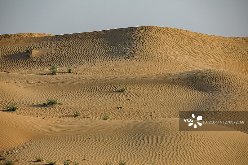 沙漠的沙丘图片素材