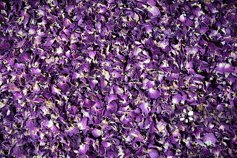 紫花干花瓣图片素材