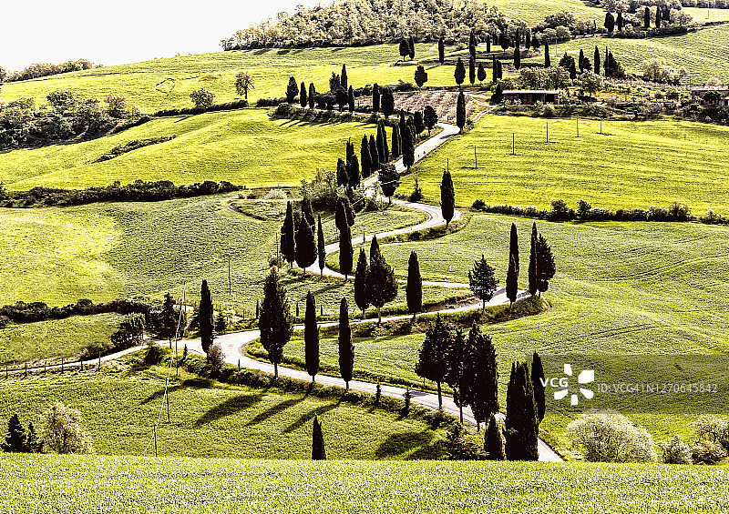 Val d'Orcia, Monticchiello，风景与著名的道路两旁的柏树图片素材