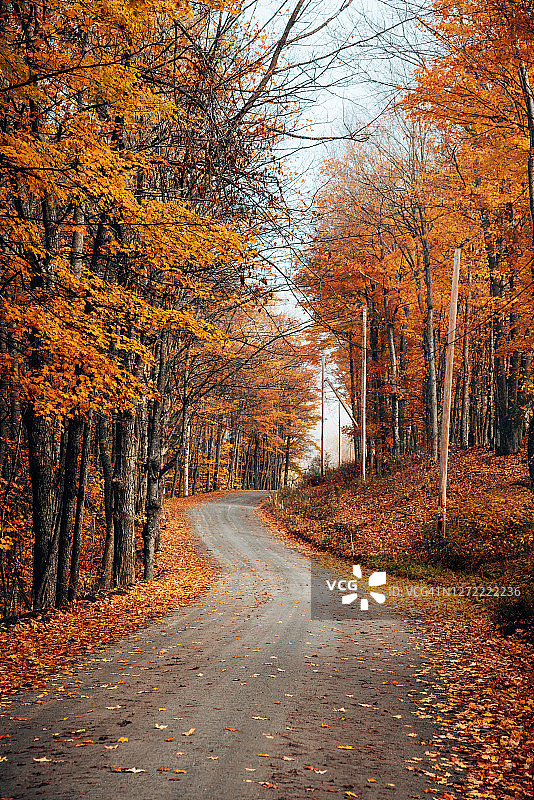 秋天的乡间小路图片素材