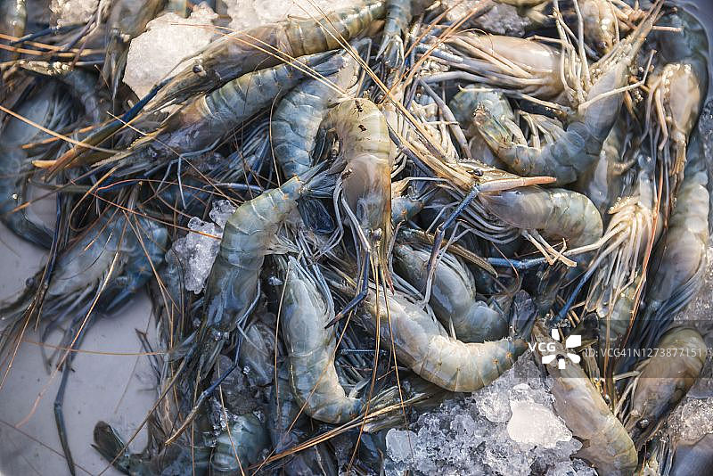 大虾，毛淡棉市场，孟邦，缅甸图片素材