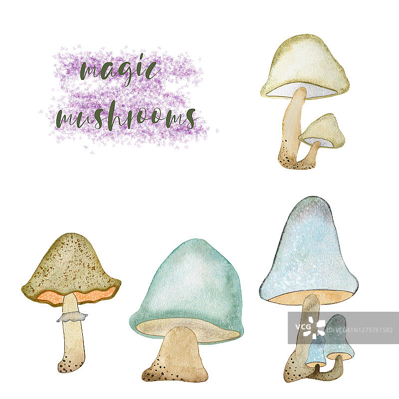 一套彩色蘑菇的水彩插图。手绘水彩，适用于各种类型的设计和印刷。图片素材