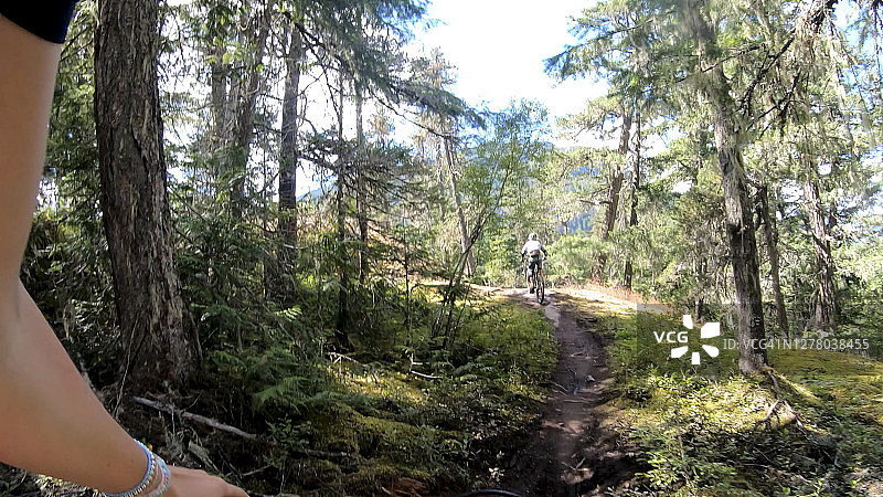 骑山地车的人沿着森林小径骑行图片素材