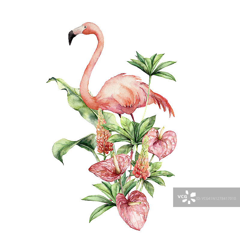 水彩热带卡片粉红色火烈鸟，羽扇豆和红掌。手绘热带花朵和叶子孤立在白色的背景。花卉插图设计，印刷，织物或背景。图片素材