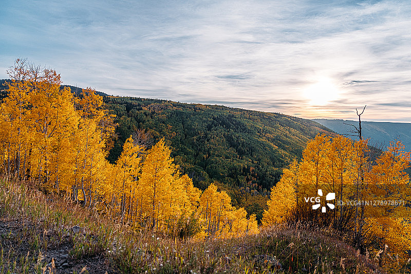 在秋天的颜色看悬崖沿着高速公路65在Grand Mesa国家森林风景小路在科罗拉多西部靠近Grand Junction图片素材