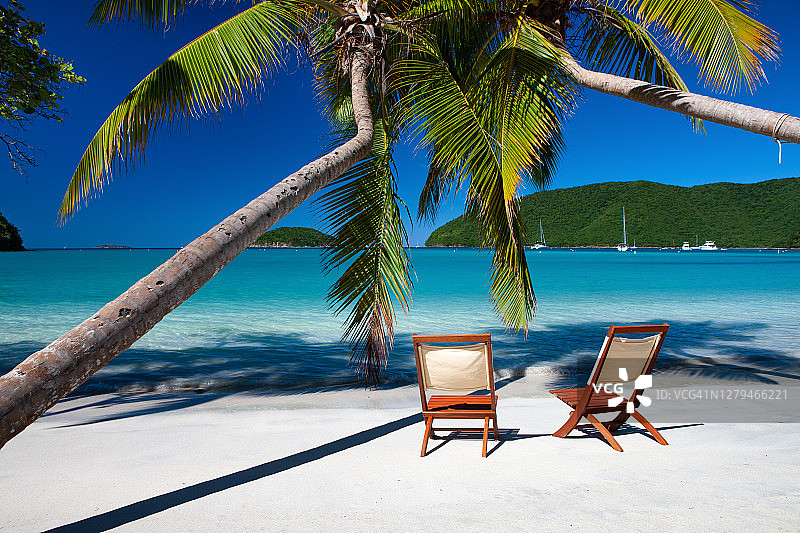 加勒比海热带海滩上的棕榈树下的椅子图片素材