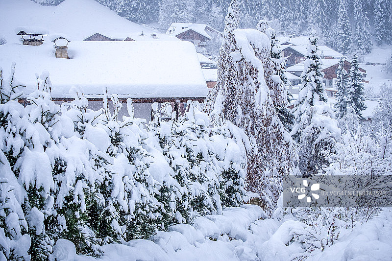 奥地利斯图拜山谷Neustift镇的冬季景观。大雪过后，白雪覆盖了树木图片素材