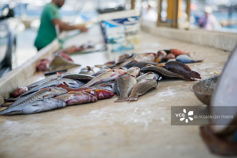 希腊米科诺斯鱼市的鱼图片素材