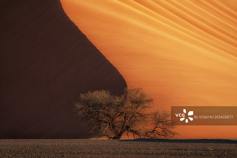 纳米比亚Sossusvlei沙漠沙丘图片素材