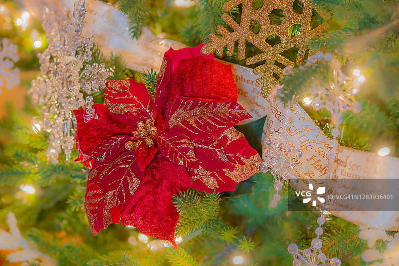 圣诞丝带和红色的一品红装饰了一棵近距离的圣诞树。图片素材
