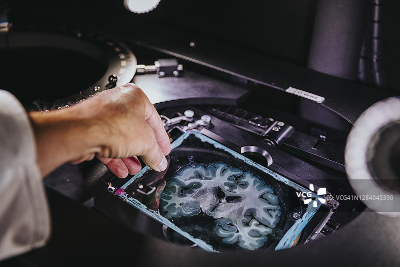 科学家的手从显微镜下取出人类大脑幻灯片的特写图片素材