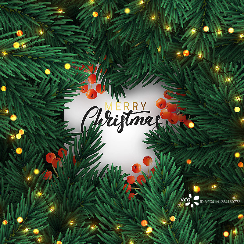 圣诞树枝。翠绿的松枝和金色的串灯。图片素材