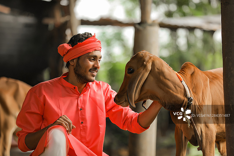 年轻的印度农民和他的奶牛在奶牛场图片素材