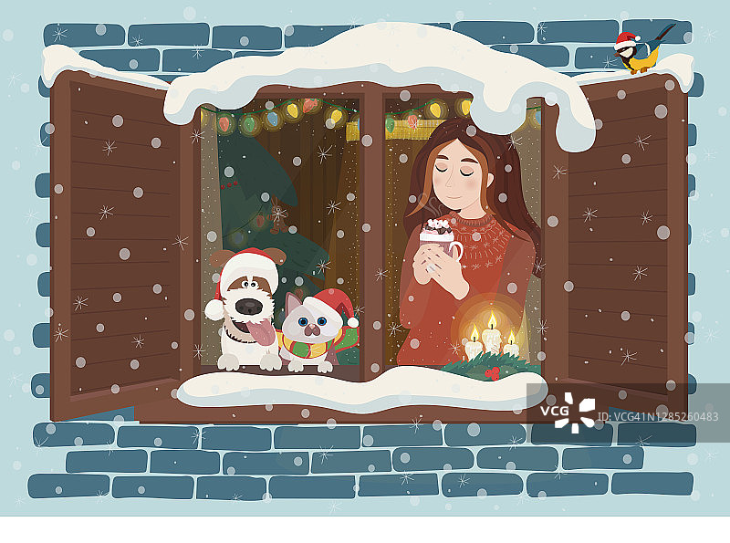 在圣诞节的晚上，一个女孩和她的狗和猫看着窗外的天空，等待着圣诞老人。房子内部为圣诞节而装饰一新。图片素材