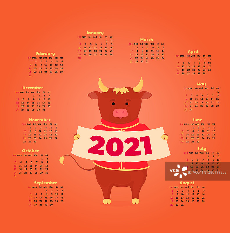 2021年的日历从周日到周六。有趣的卡通牛。中国新年快乐。牛,牛。月亮星座的迹象。图片素材