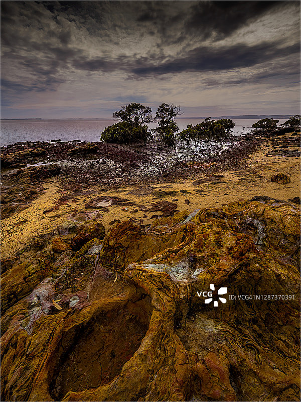 澳大利亚维多利亚州西港湾，科瑞拉，腾比点，穆迪春天的早晨图片素材