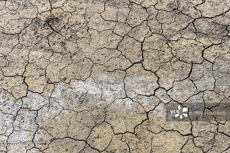 特写的土地与干燥和开裂的土壤地面在夏季，背景图像，俯视图。全球变暖效应。图片素材