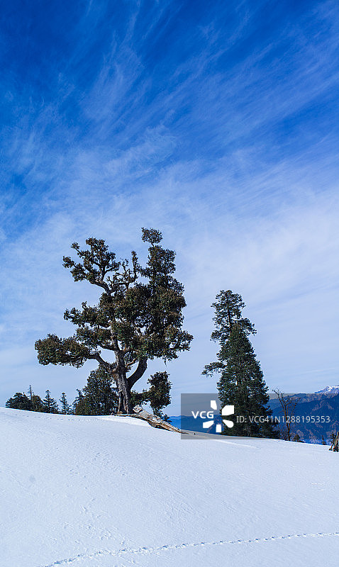 喜马拉雅的冬天图片素材