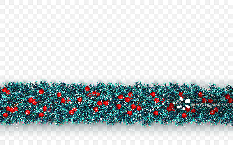 圣诞节或新年的背景。有冬青浆果和圣诞雪的圣诞树树枝。节日的背景。矢量图图片素材