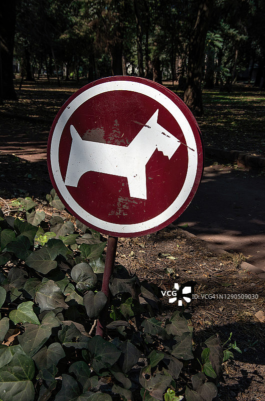 狗可以在公园里做标记图片素材