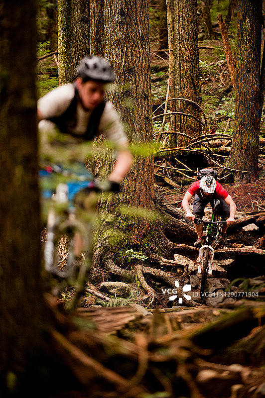 山地自行车手在穿过森林的一条狭窄的小路上，从树根构成的网络上下来图片素材
