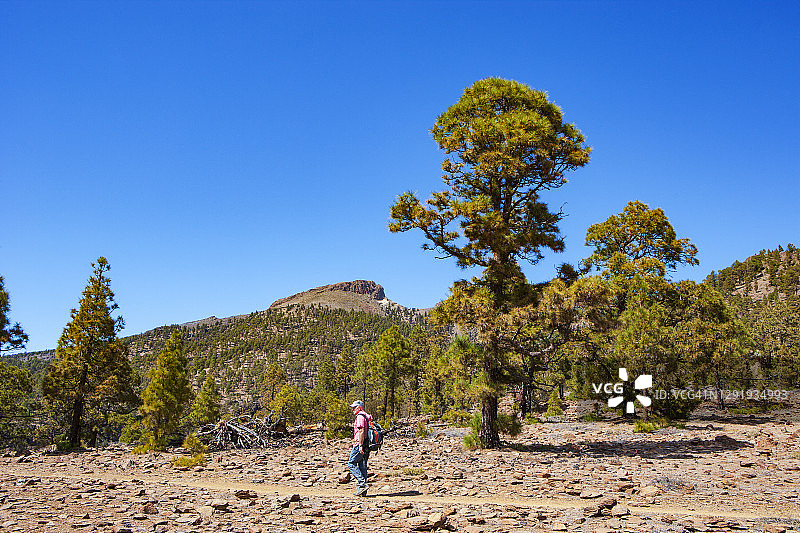 西班牙加那利群岛特内里费岛泰德国家公园，晴朗的一天，一名男子在蓝天下徒步行走图片素材