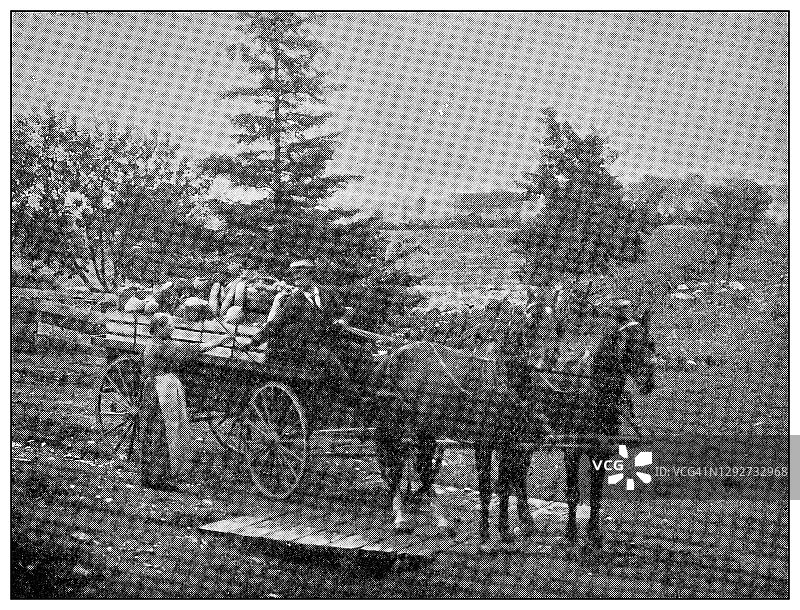 古董点印黑白照片:马车图片素材
