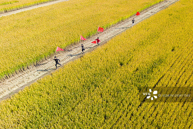 2020年10月31日，江苏省江阴市秋天，村子旁边的稻田。一群孩子拿着红旗在田野里奔跑。图片素材