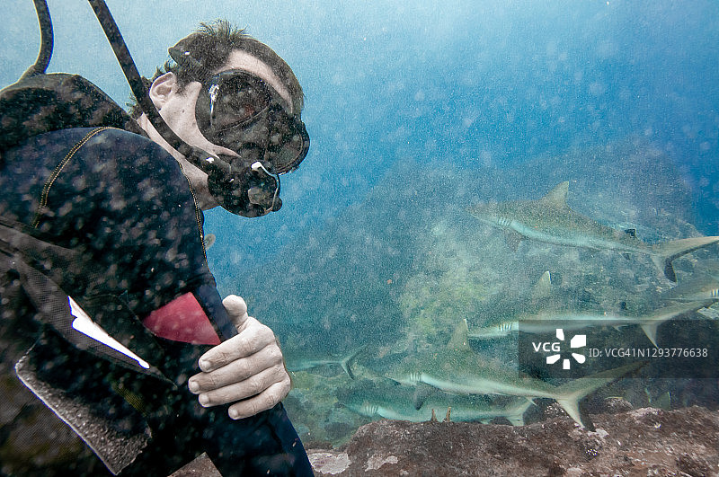 一名潜水员和灰礁鲨一起在含有悬浮物质的脏水中游泳图片素材