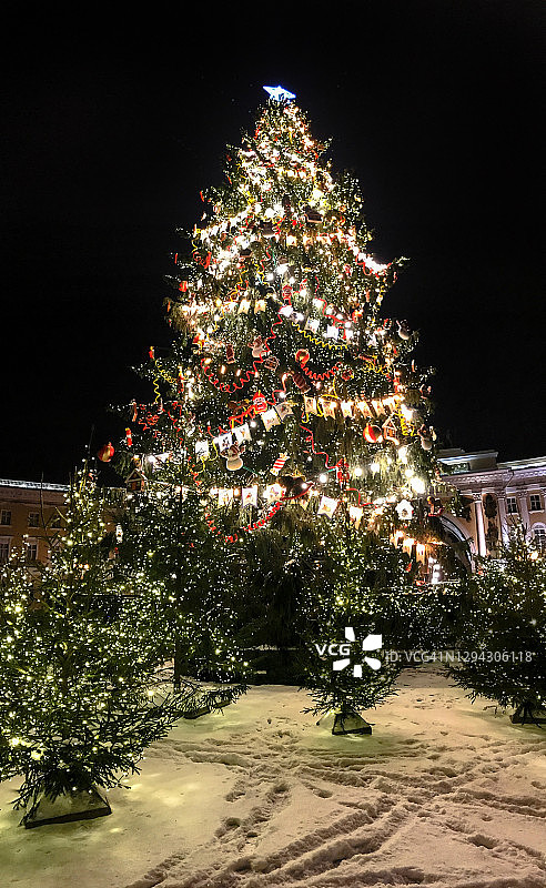 俄罗斯圣彼得堡宫殿广场上的主要圣诞树图片素材
