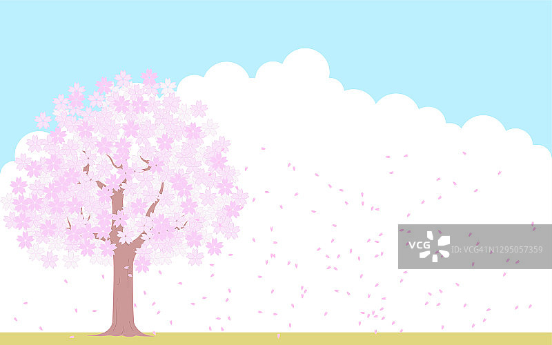 樱花盛开，暴风雪，蓝天白云背景，插图素材图片素材