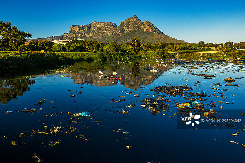 水污染。鸟瞰南非，火烈鸟在被塑料污染的可怕水道中觅食，背景是桌山图片素材