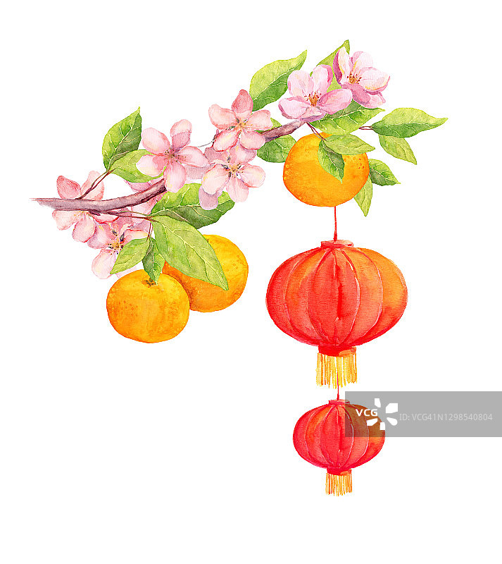 梅花或桃花配红纸灯笼和节日的橘子。中国贺年卡。水彩图片素材