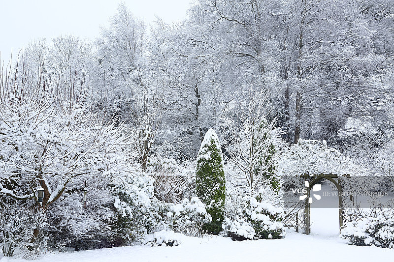 英国家庭花园在一月的雪毯下。图片素材