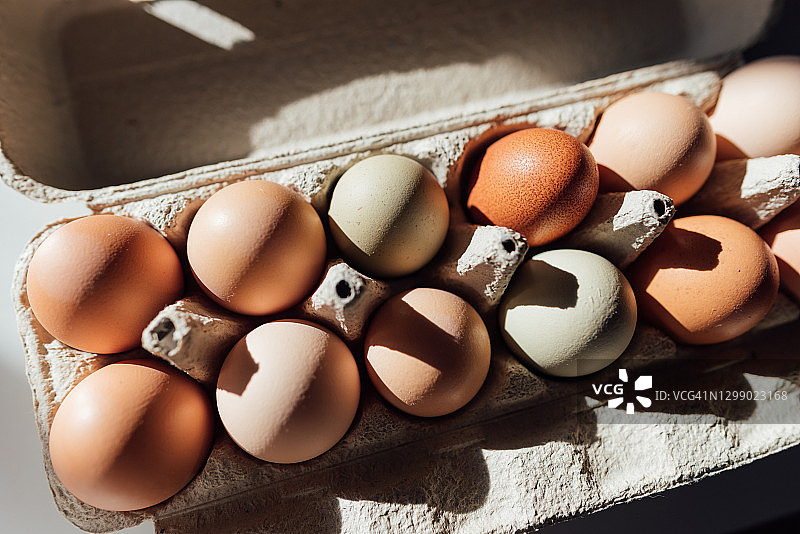 把新鲜的鸡蛋放在白色的表面上图片素材