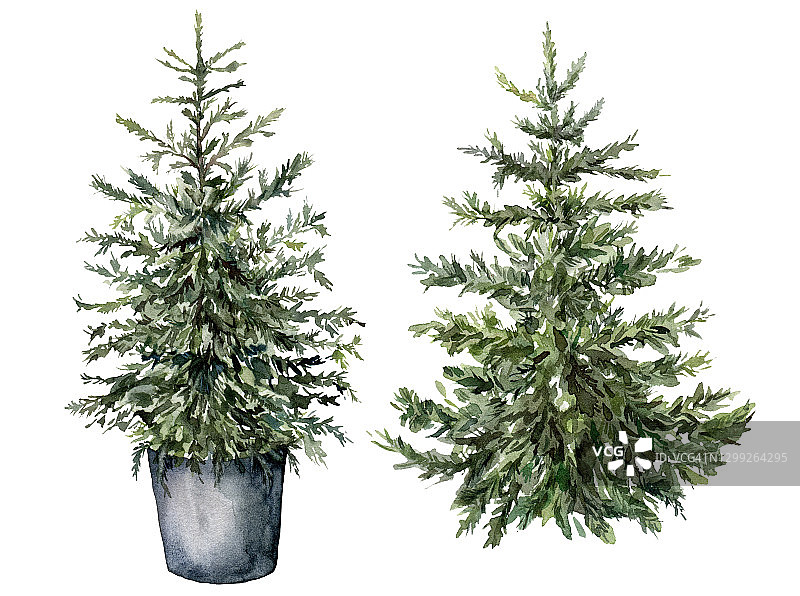 水彩圣诞抽象树集。手工绘制的新年树孤立的白色背景。假日插图设计，印刷，织物或背景。图片素材