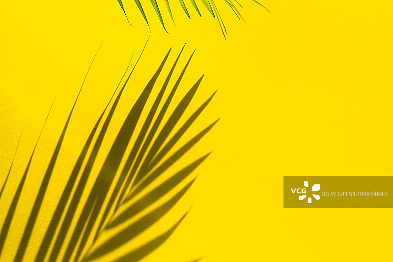 热带阴影从棕榈叶在黄色的背景。图片素材