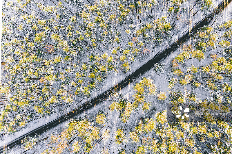从鸟瞰图上看，穿过积雪的森林的道路的黑线图片素材