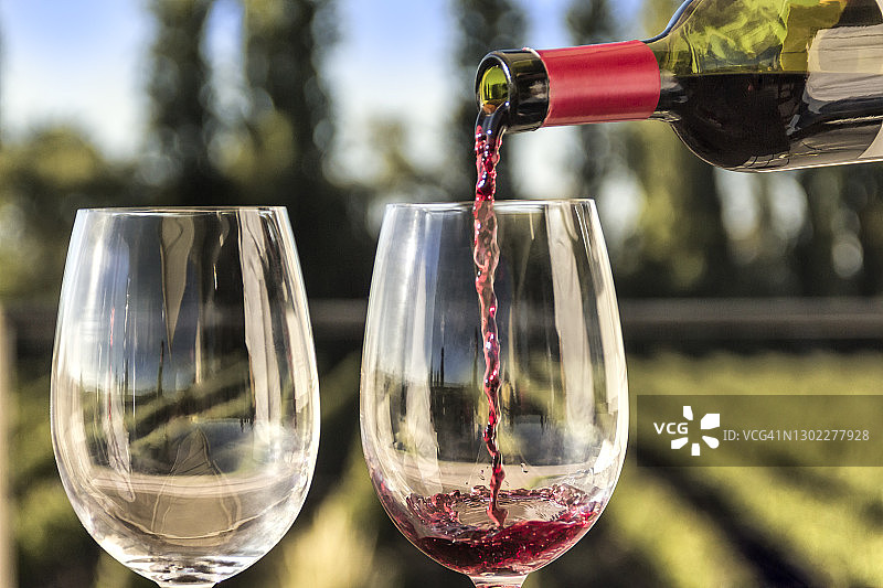 在葡萄园中提供红酒，在葡萄酒旅游访问中。阿根廷门多萨。图片素材