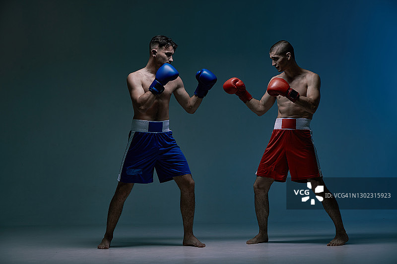 对打的两个战斗的男性拳击手在战斗中在蓝色演播室光，武术，混合战斗的概念图片素材