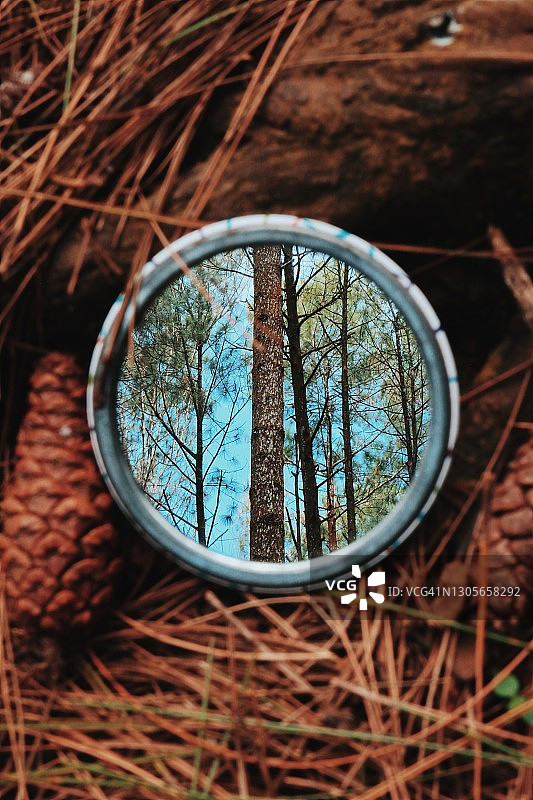 从口袋镜子中反射出松树林图片素材